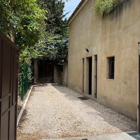 Roxane Near Avignon *